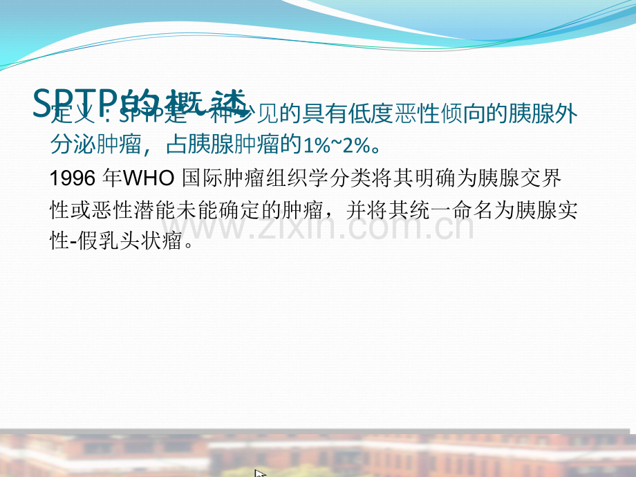 胰腺实性假乳头状瘤.pptx_第2页