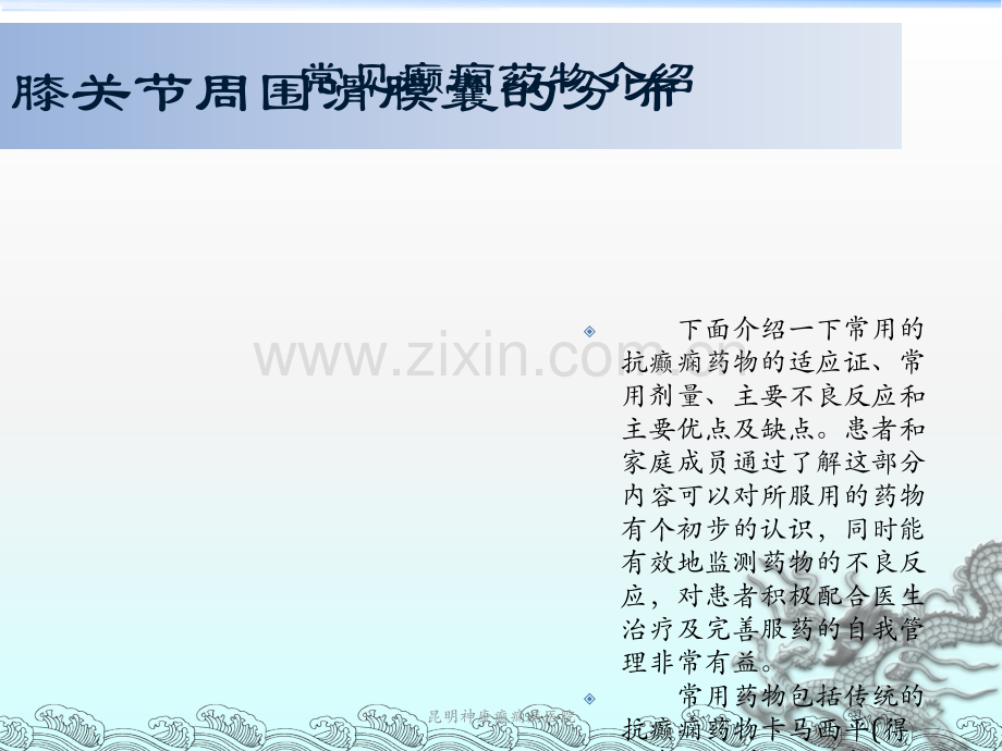 常见癫痫药物介绍.ppt_第2页