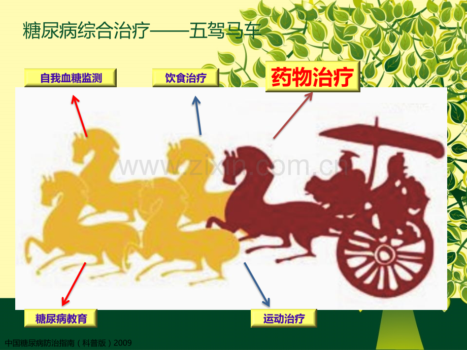 胰岛素治疗ppt.pptx_第2页