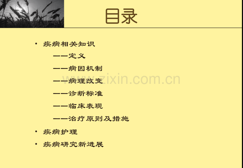 Hellp综合征.ppt_第2页