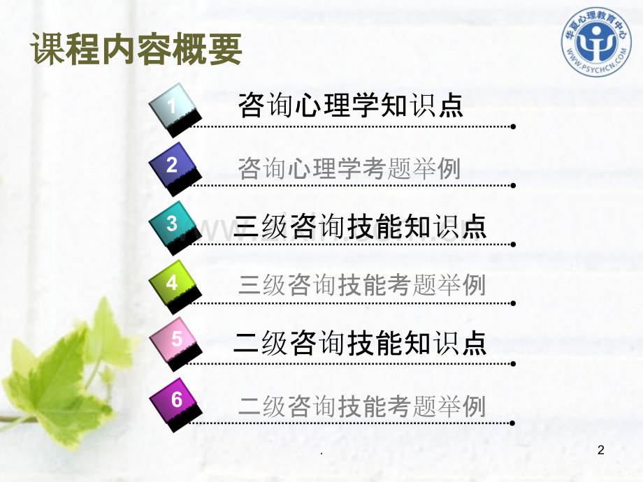 咨询心理学与心理咨询技能PPT课件.ppt_第2页