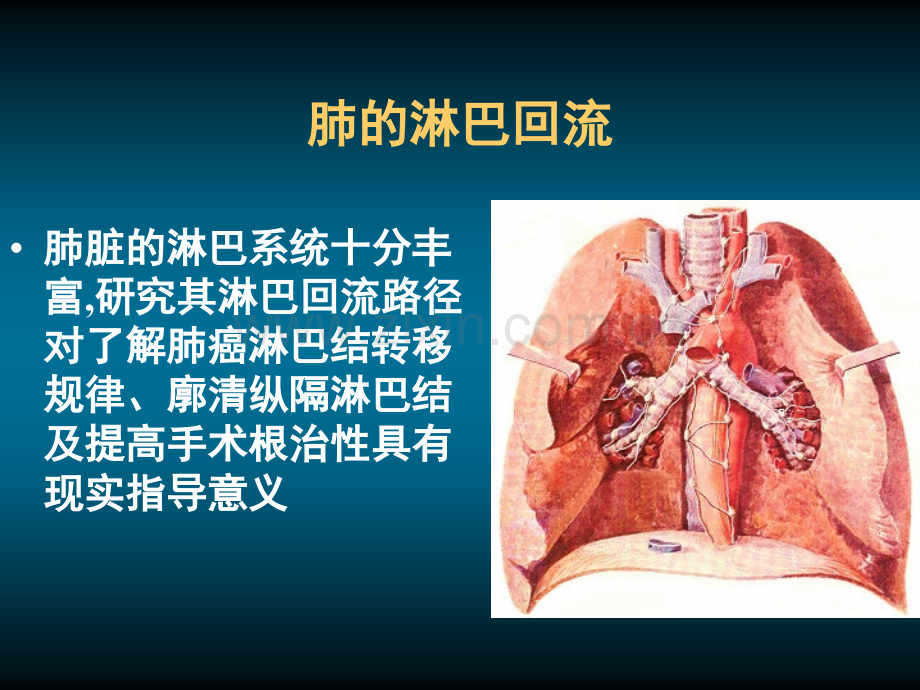 肺的淋巴引流.ppt_第2页