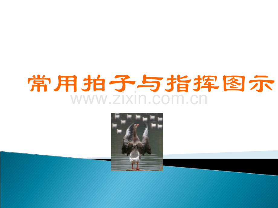 常用拍子与指挥图示.ppt_第1页