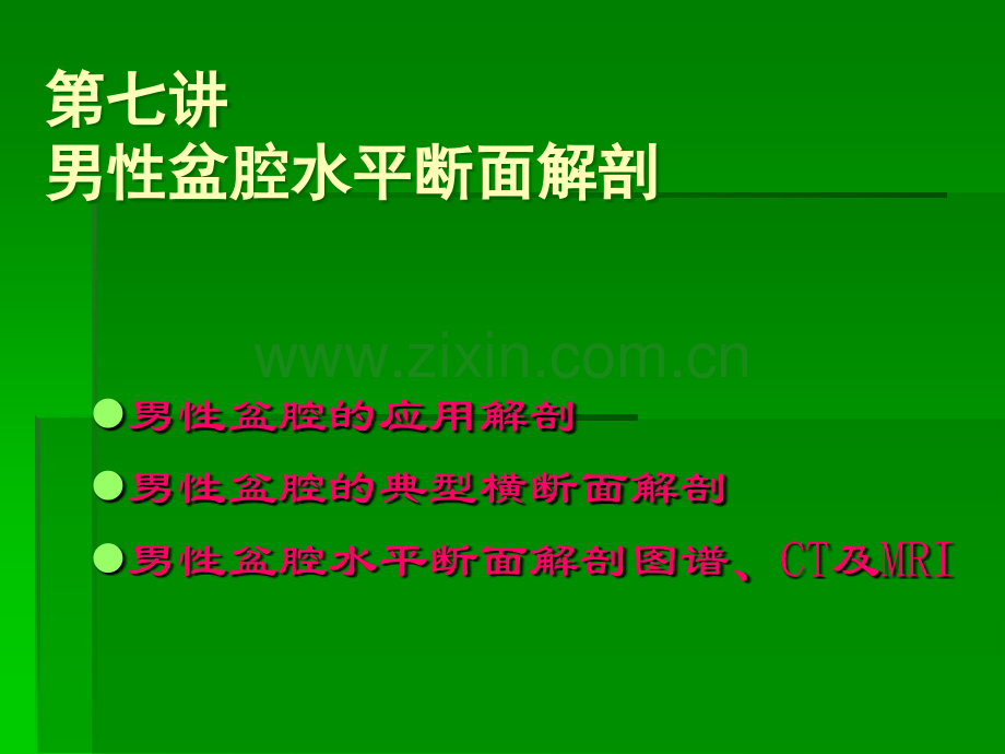 断面--盆腔男.ppt_第1页