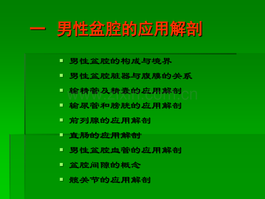 断面--盆腔男.ppt_第2页