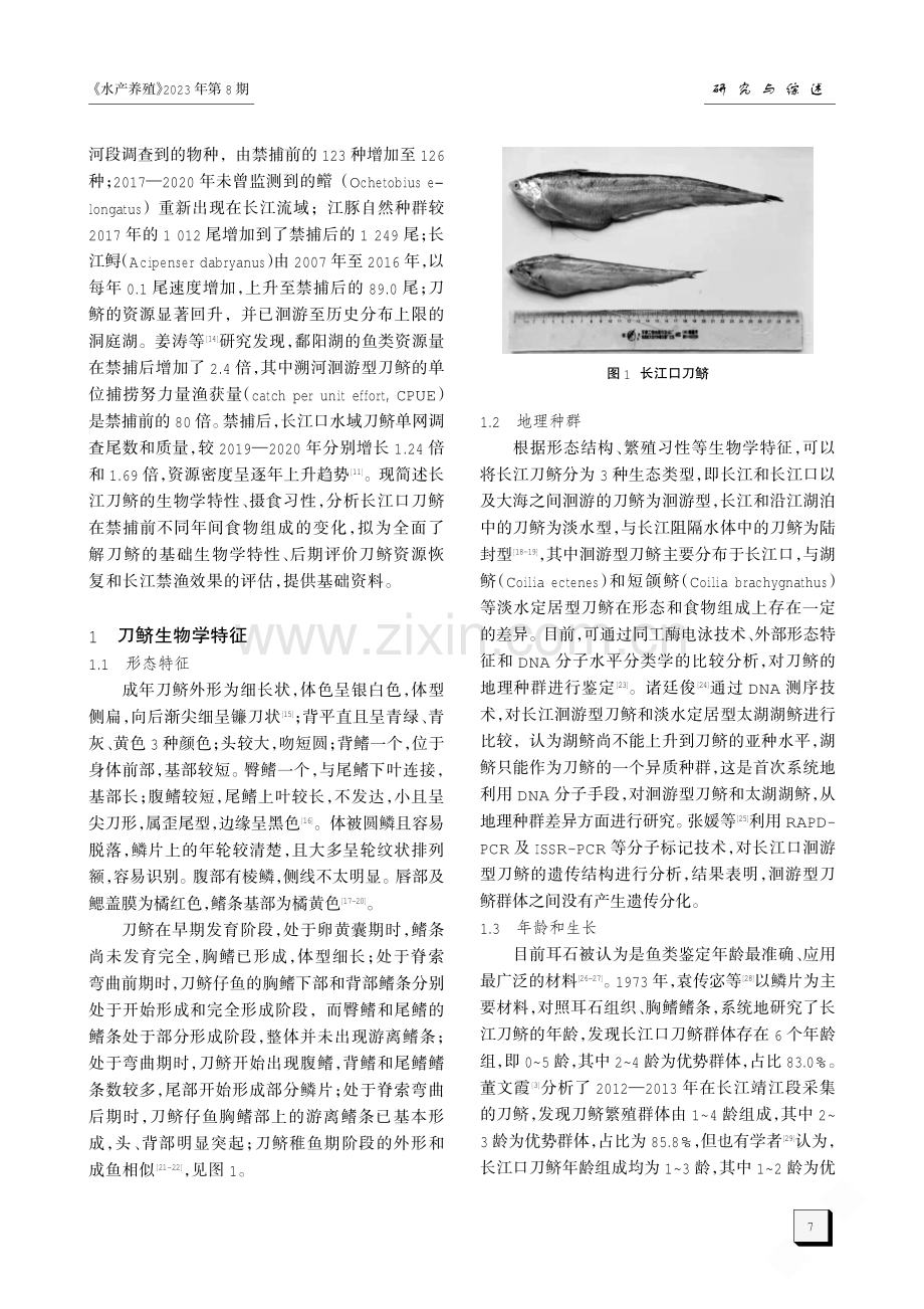 长江口刀鲚生物学特征与摄食生态学研究进展.pdf_第2页