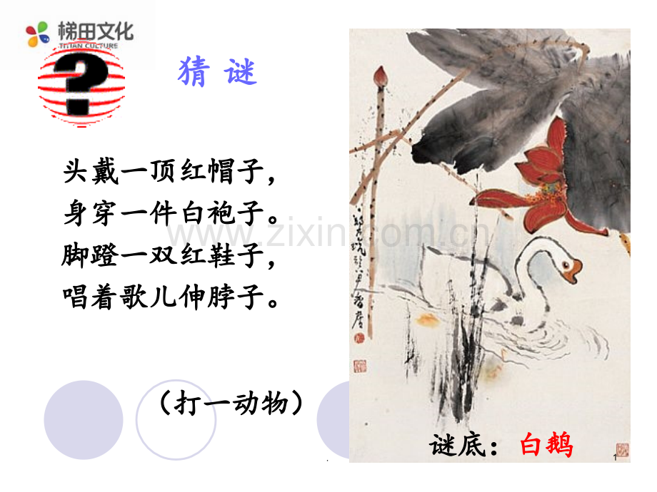 13.白鹅PPT课件.ppt_第1页