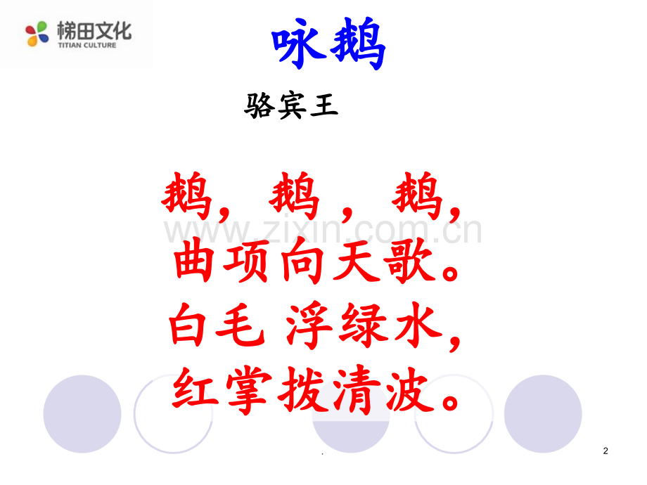 13.白鹅PPT课件.ppt_第2页