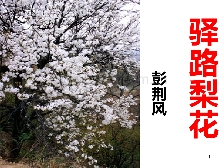 驿路梨花--PPT课件.ppt_第1页