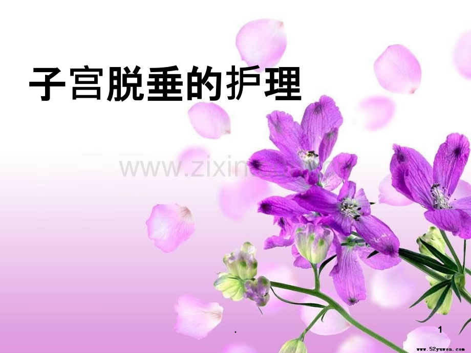 子宫脱垂的护理课件.ppt_第1页