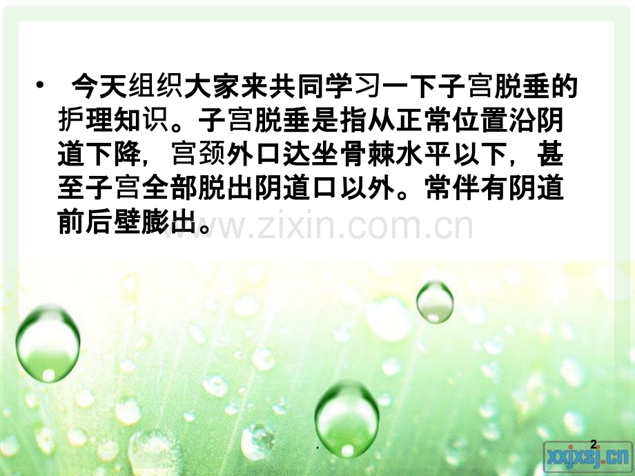 子宫脱垂的护理课件.ppt_第2页