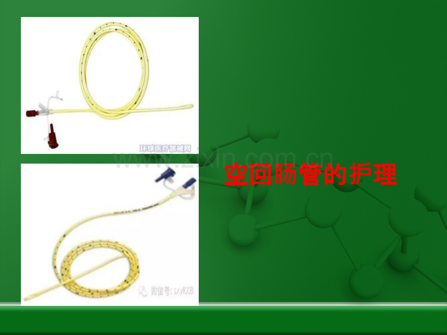 空肠营养管的护理ppt课件.pptx_第1页