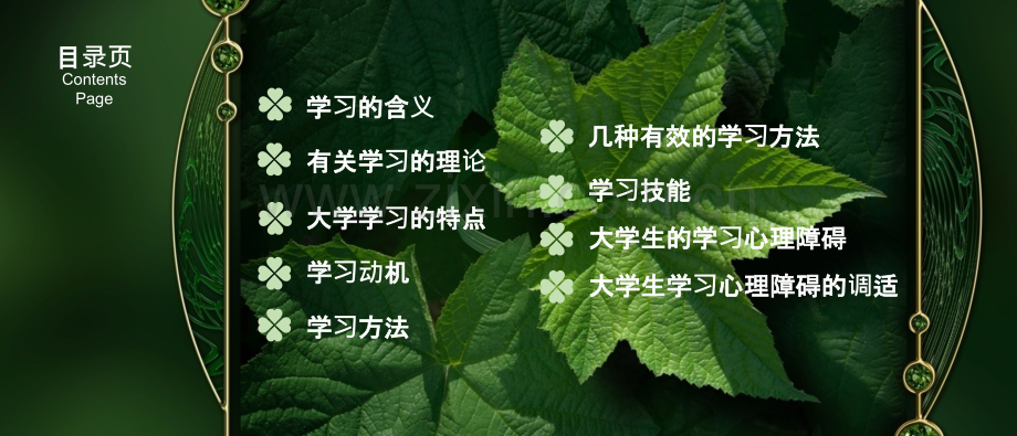 《大学生心理健康教育》--学会学习激发潜能-PPT课件.pptx_第2页