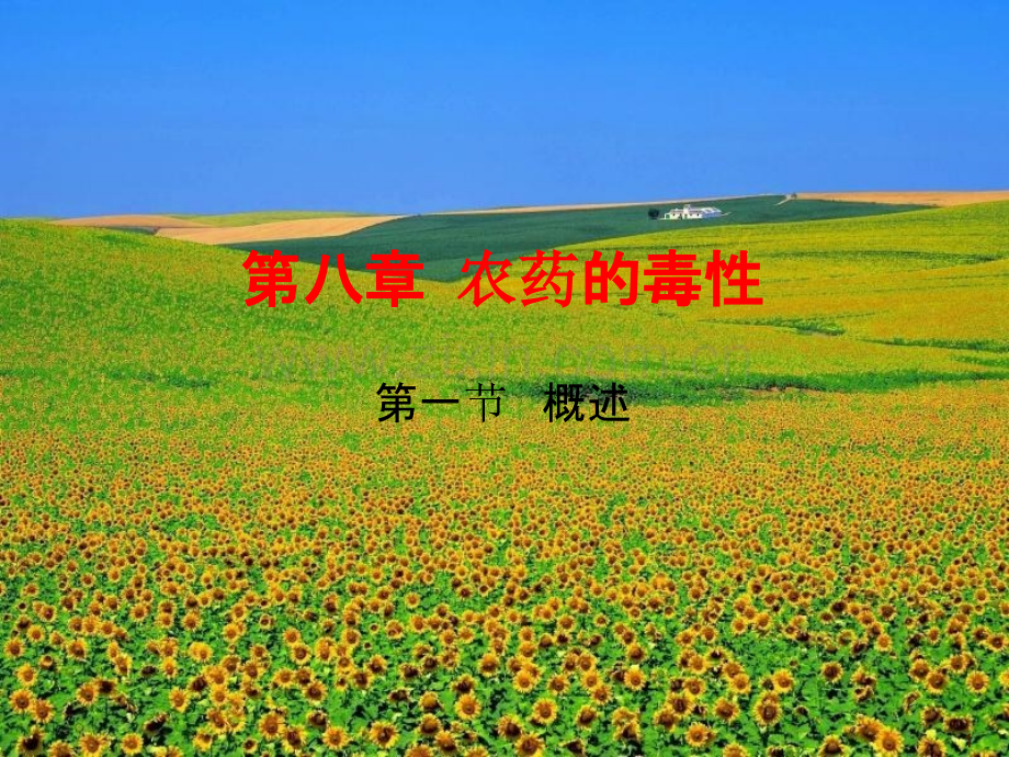 第八章-农药的毒性PPT课件.ppt_第1页