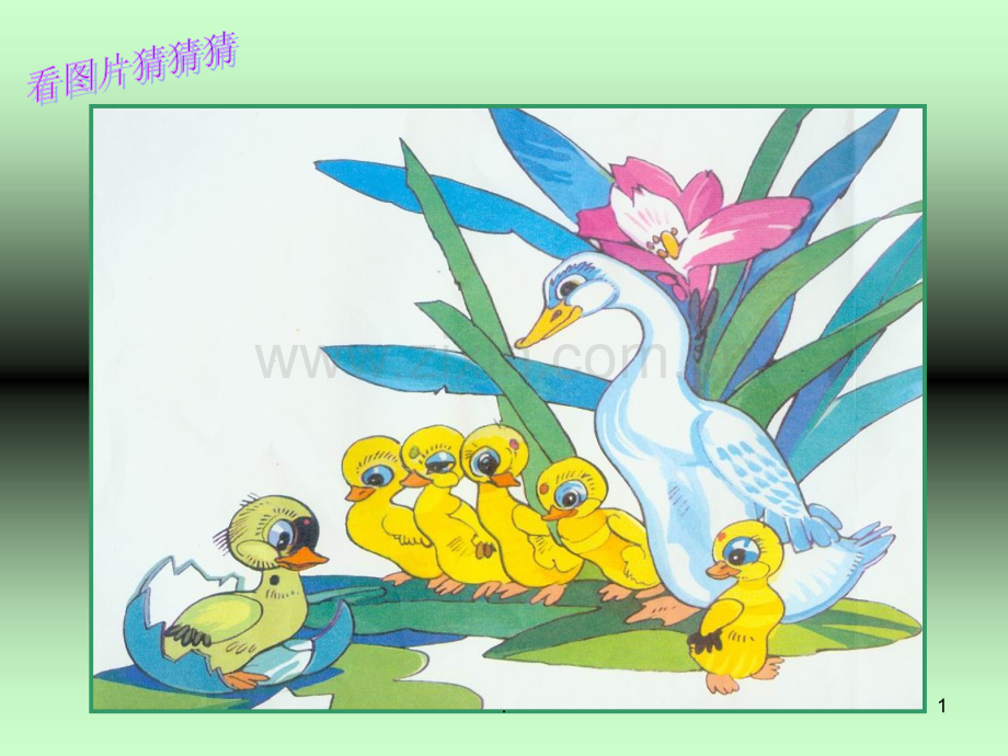 巨人的花园PPT课件.ppt_第1页