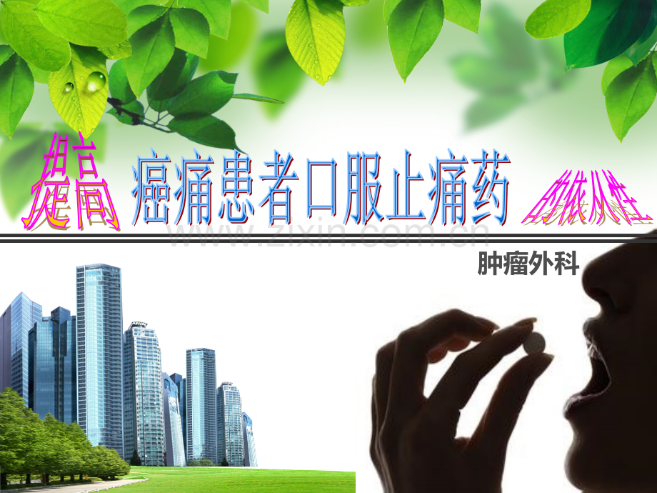 QCC癌痛服药依从性PPT课件.ppt_第1页