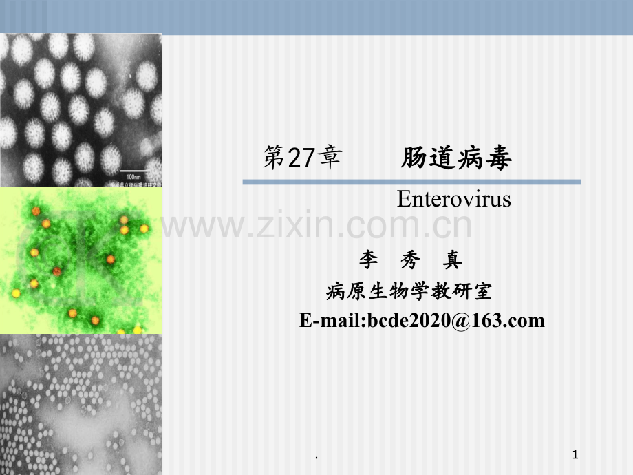 13-肠道病毒PPT课件.ppt_第1页