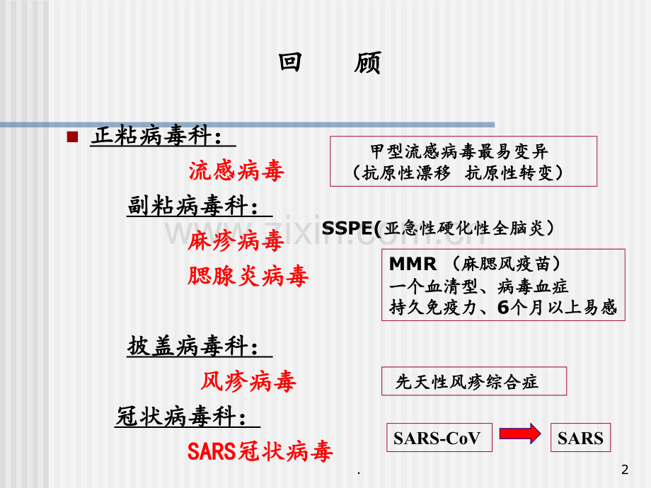 13-肠道病毒PPT课件.ppt_第2页