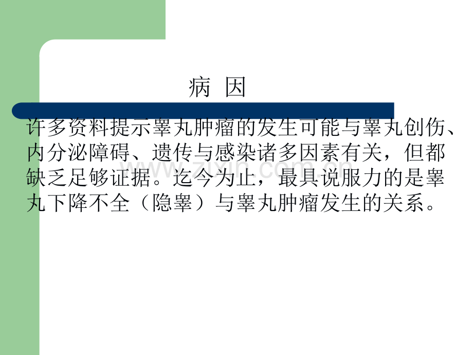 睾丸精原细胞瘤影像.ppt_第2页