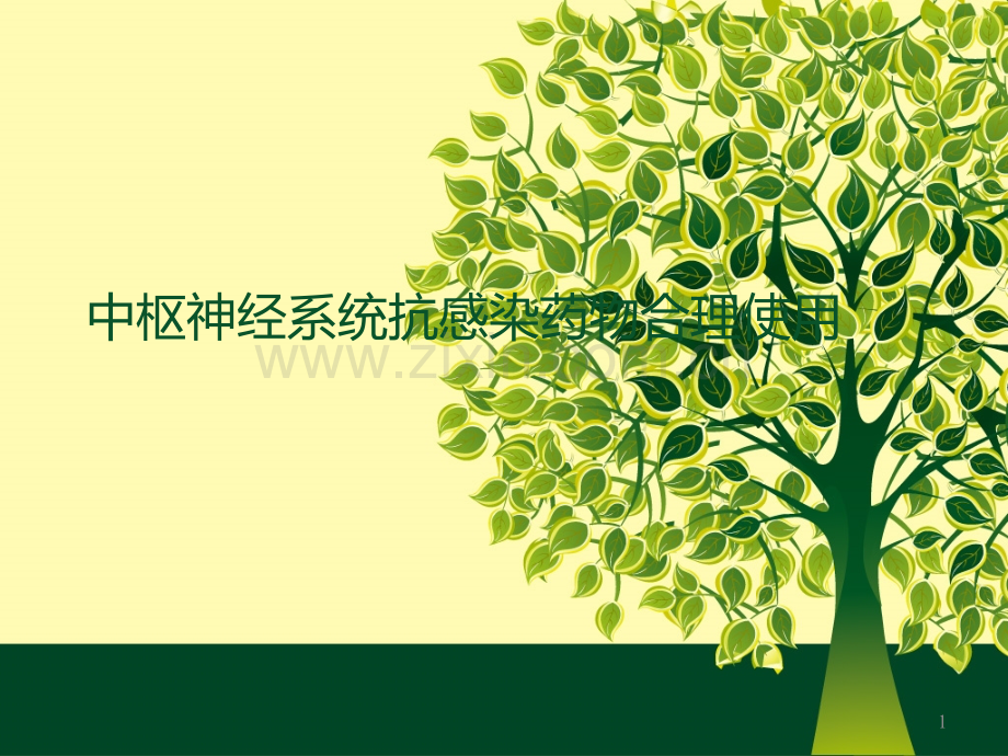 中枢神经系统抗感染药物合理使用-PPT课件.ppt_第1页