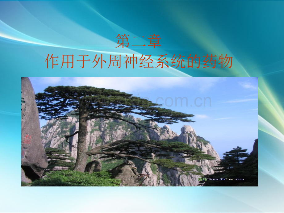 作用于外周神经系统的药物.ppt_第1页