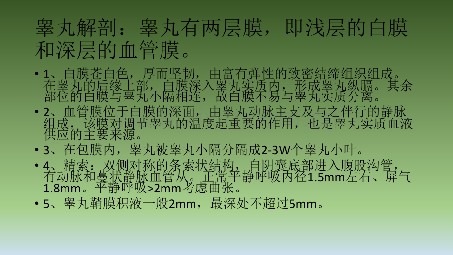 睾丸基础知识交流--归类整理ppt课件.pptx_第2页
