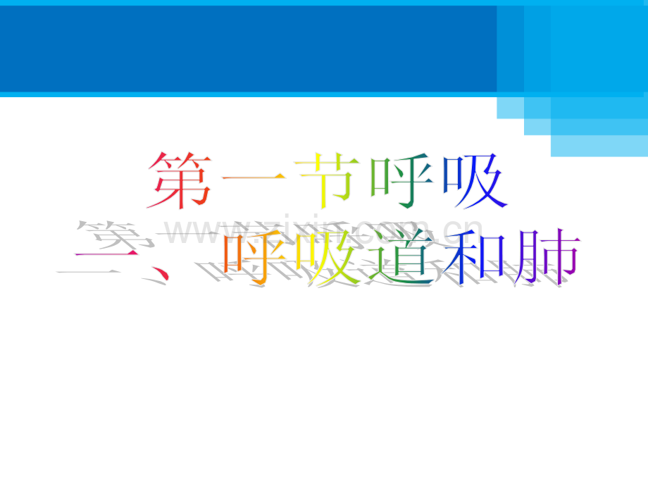 、呼吸道和肺讲述ppt课件.ppt_第1页