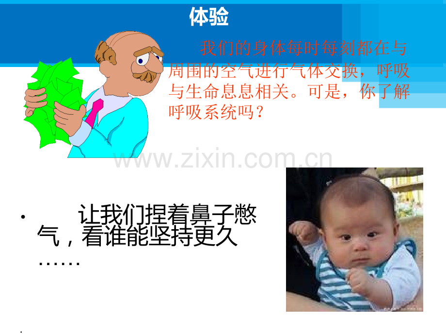 、呼吸道和肺讲述ppt课件.ppt_第2页