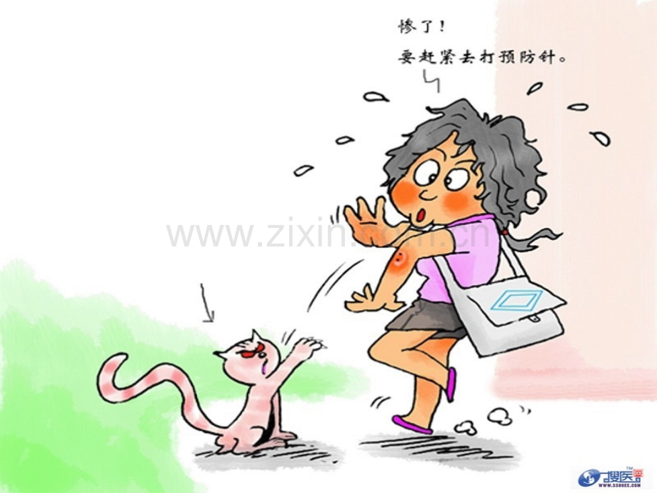 动物伤害可预防.ppt_第2页