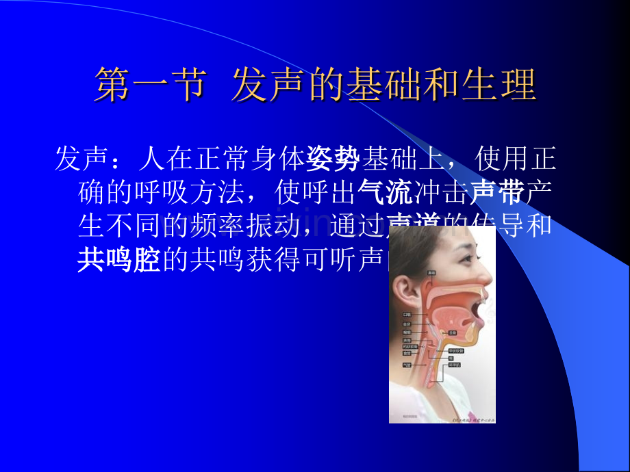 发声障碍ppt课件.ppt_第2页