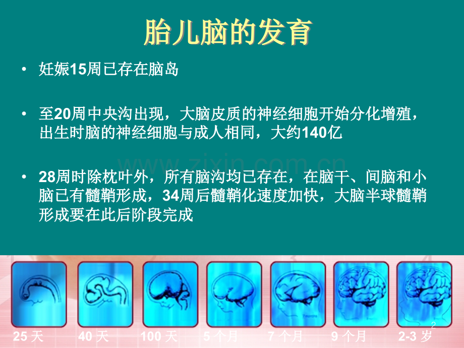 新生儿发育支持护理-.ppt_第2页