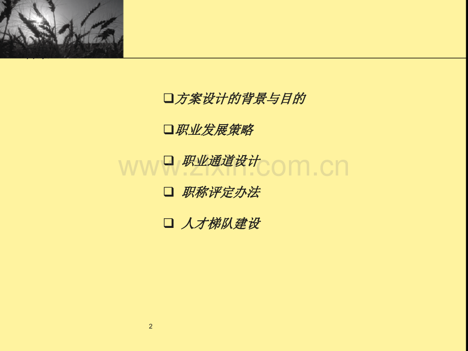 渝安集团员工职业发展通道设计方案.ppt_第2页