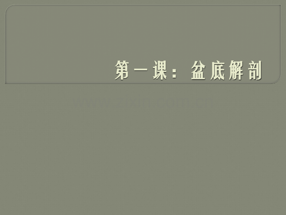 盆底解剖ppt课件.pptx_第1页