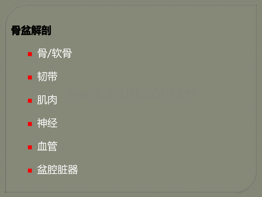 盆底解剖ppt课件.pptx_第2页