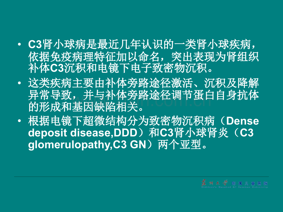 C3肾病ppt课件.ppt_第2页
