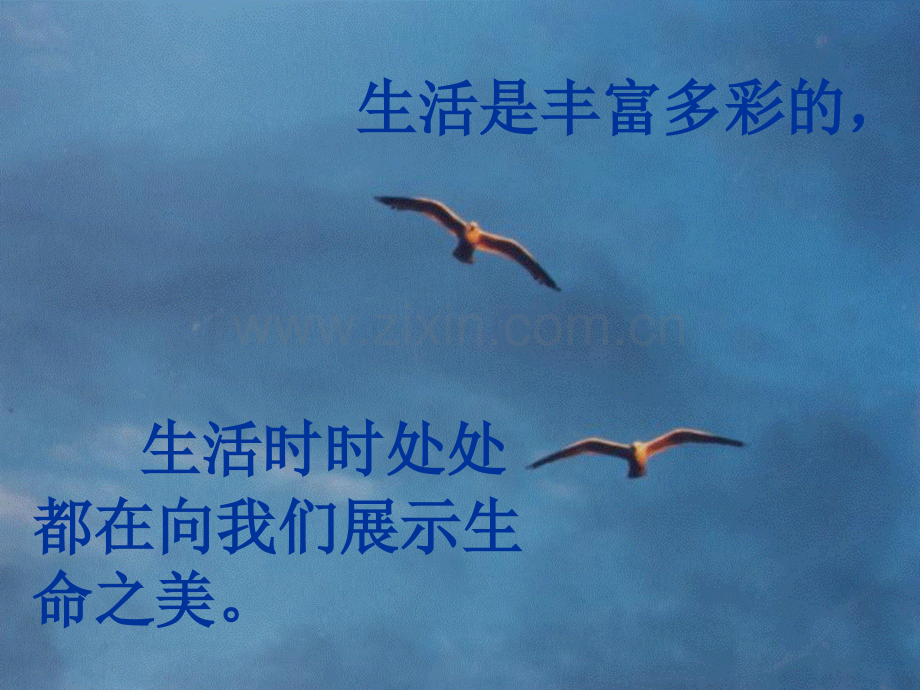 《海燕》PPT课件.ppt_第1页
