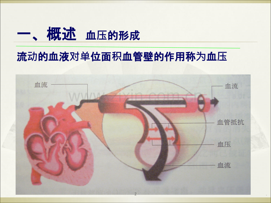 原发性高血压护理.ppt_第2页