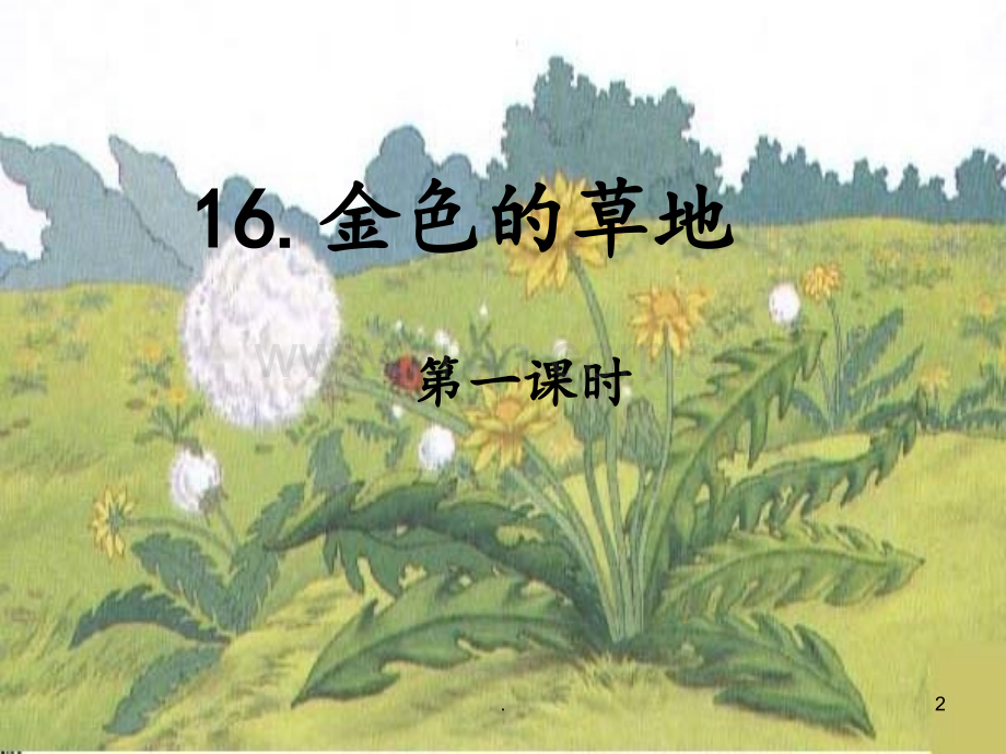 16金色的草地PPT课件.ppt_第2页