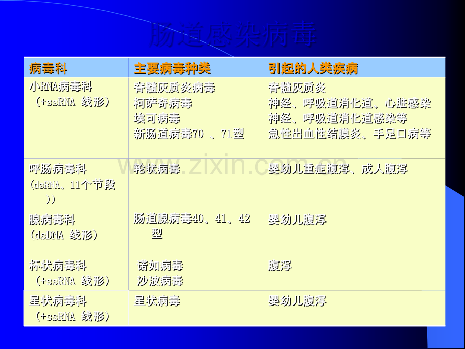 肠道急性胃肠炎病毒ppt课件.ppt_第2页
