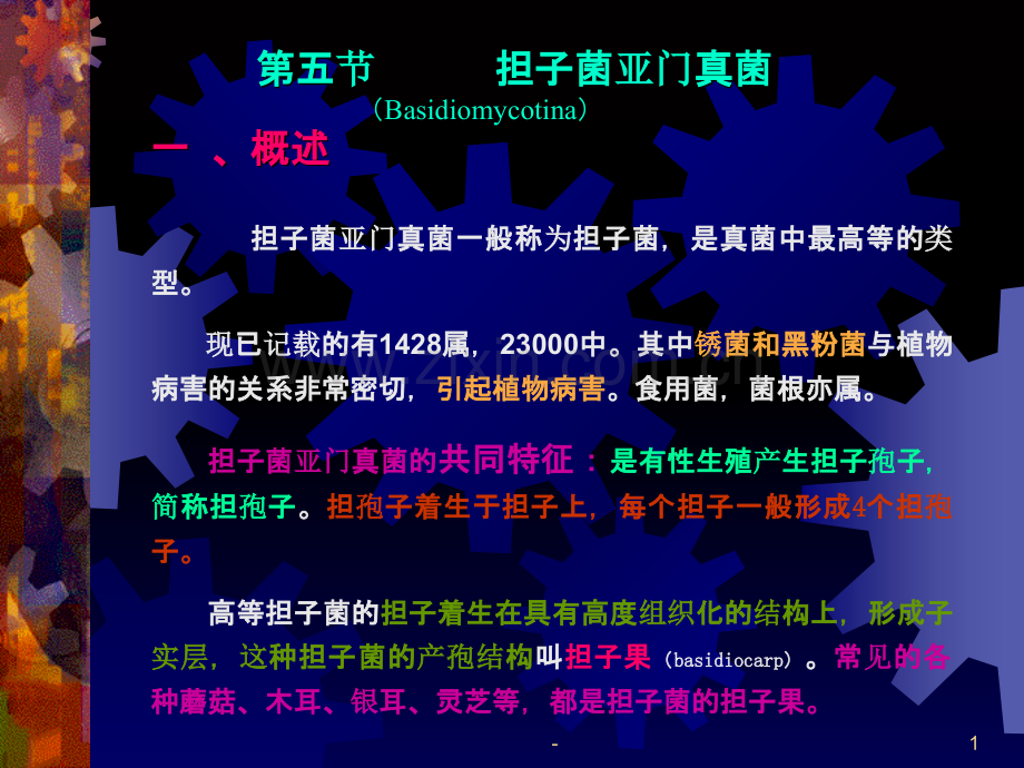 第二章-病原真菌---第五节-担子菌亚门真菌PPT课件.ppt_第1页