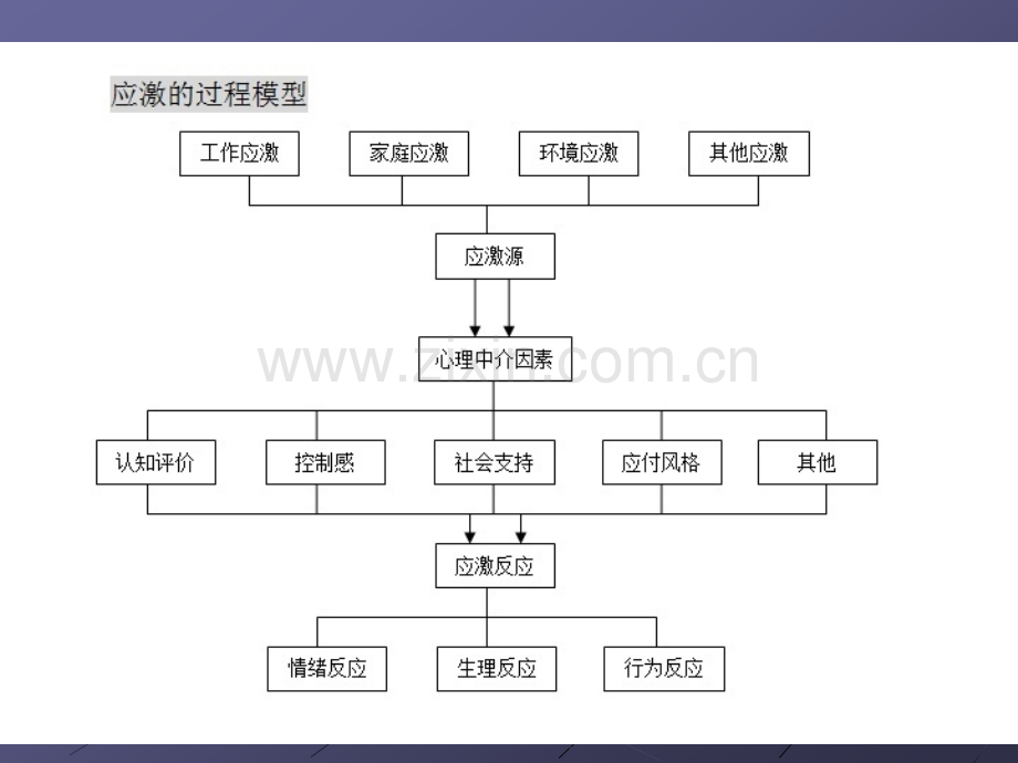 心理中介因素的作用.ppt_第2页