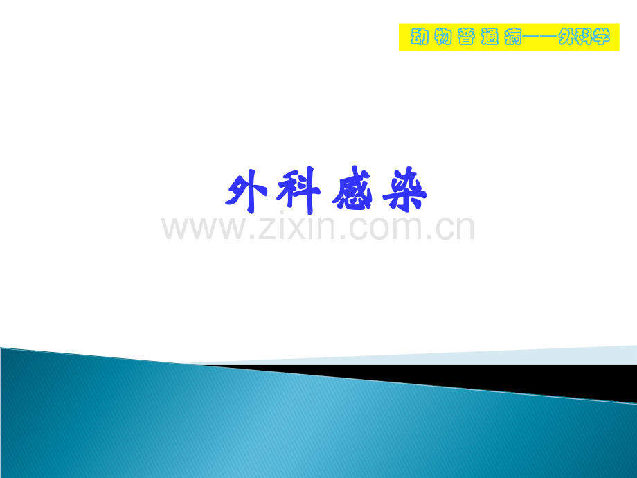 动物外科感染ppt课件.ppt_第1页