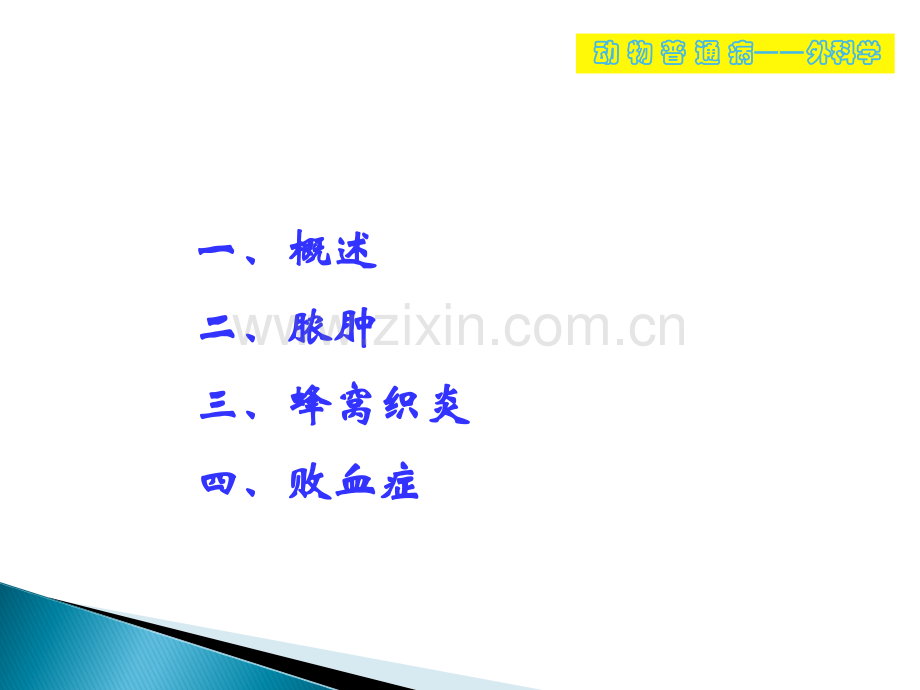 动物外科感染ppt课件.ppt_第2页