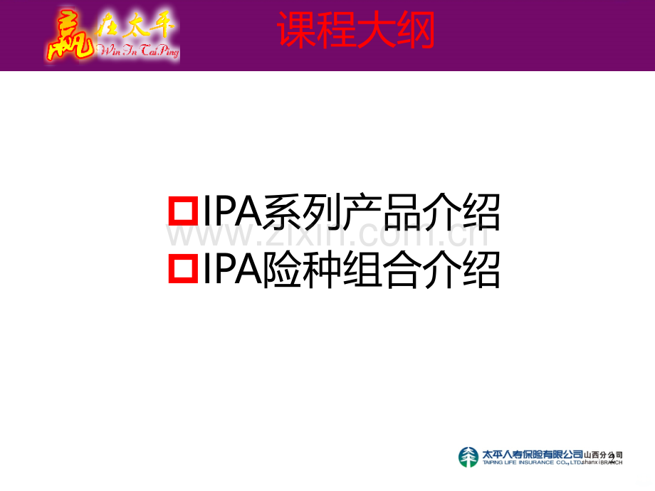 意外险：IPA产品组合PPT课件.ppt_第2页