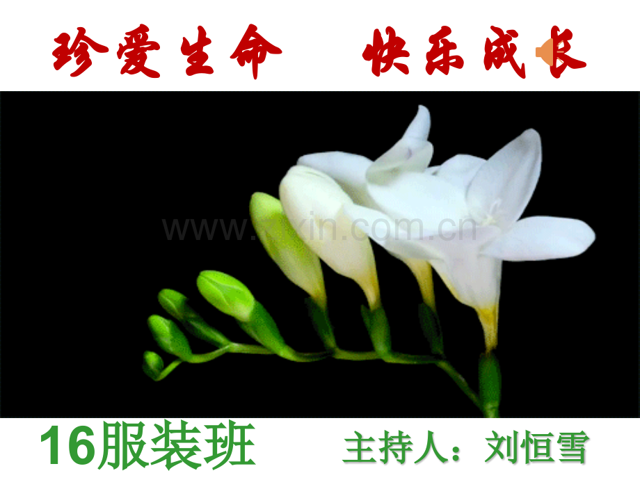 珍爱生命快乐成长PPT课件.pptx_第1页