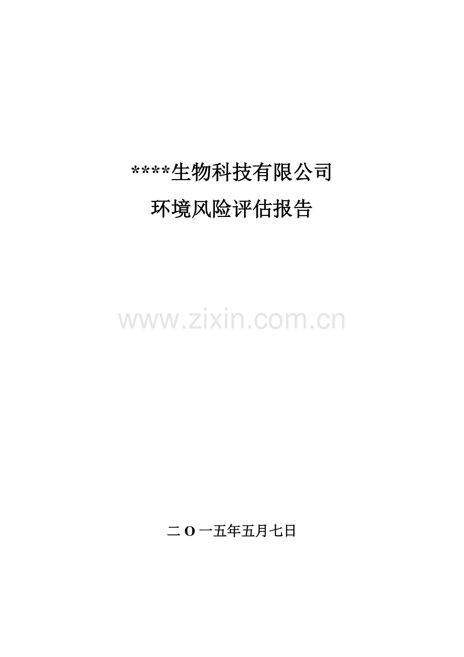 环境风险评估报告.doc_第1页