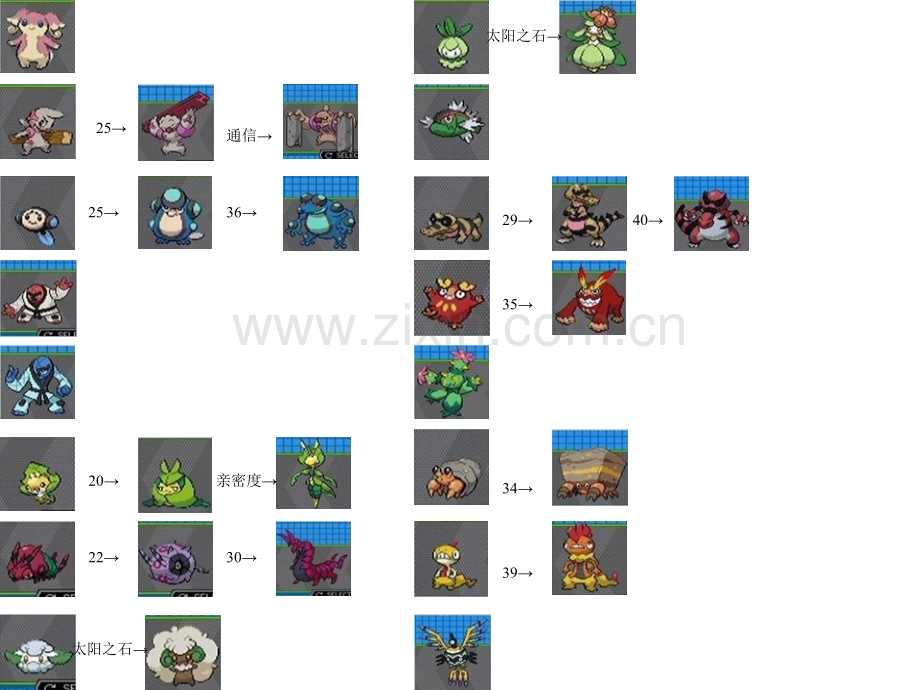 口袋妖怪黑白全图鉴.pptx_第1页