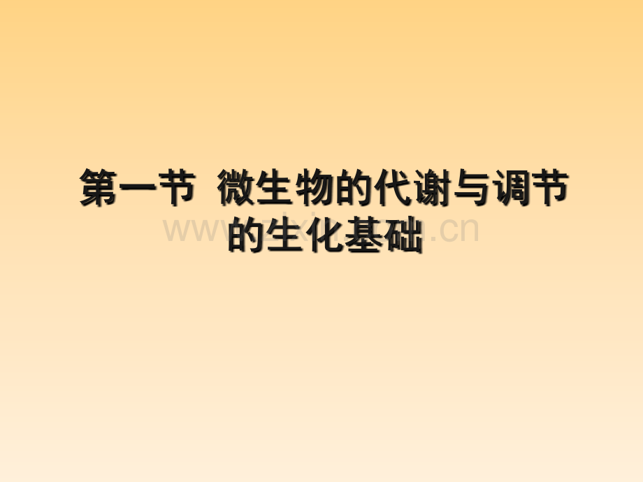 第三章微生物的代谢调控理论及其在食品发酵与酿造中的应用.pptx_第2页