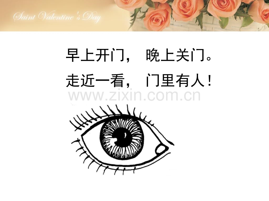 亮眼睛课件.pptx_第1页