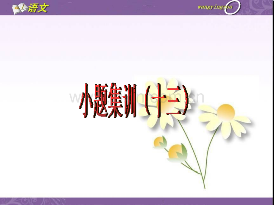 小题集训十三配套剖析.pptx_第1页